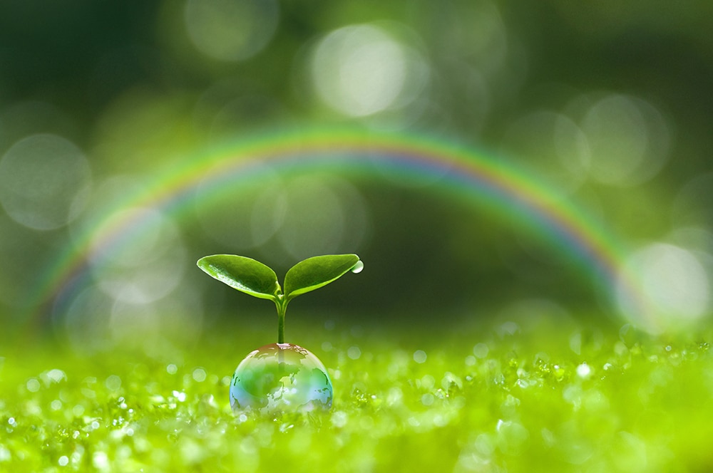 Green empowerment