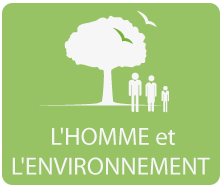 L'homme et l'environnement